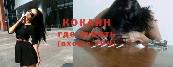 бошки Бронницы