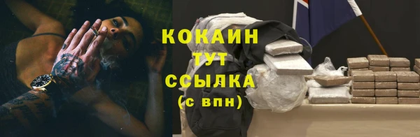 бошки Бронницы