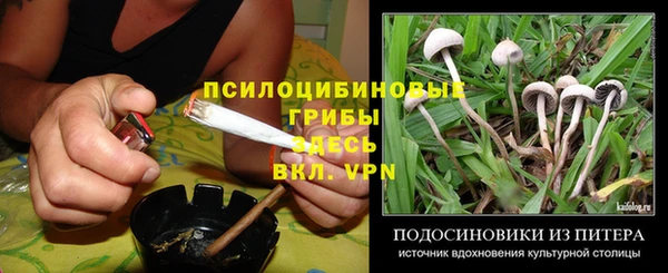 ешки Покровск
