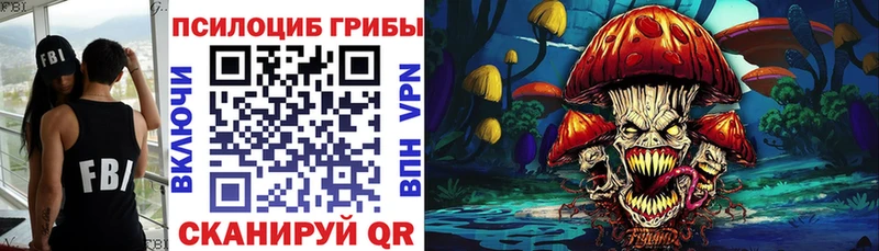 где можно купить   Трёхгорный  Псилоцибиновые грибы Cubensis 